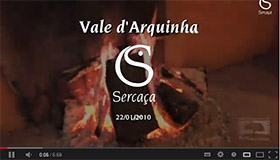 Vídeo da Montaria de Vale de Arquinha 2011